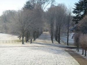 Allée sous la neige